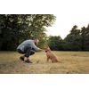 Canina Senior Vital, 500 g
