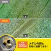Sanwa Supply LPE-08BK 2 Megapixel USB Microscope (Full HD Compatible)