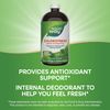 Chloro Fresh Liquid Mint 16.9 fl oz (480 ml)