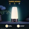 The Glowhouse Premium Style PIR Motion Sensor LED Night Light