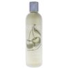 Brut After Shave Lotion, 5 oz
