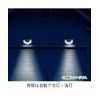 Nissen 100 LED Solar Sensor Light - Free