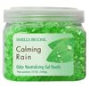 Smells Begone Calming Rain Scent Odor Absorber 12 oz. Gel