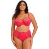 Elomi Women's Sachi Full Brief, Sheer