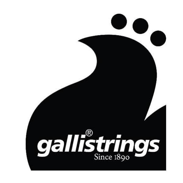 Jazz Tenor Banjo Strings