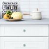 NEWzone 4 Pack Turtle Cabinet Knobs, Nautical Decorative Single Hole Kitchen Cabinet Hardware Dresser Handles Drawer Pulls Knobs for Home Bedroom Bathroom 1.37"