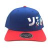 Sonic Kanji Pre-Curved Bill Adults Snapback Cap Multi Colour