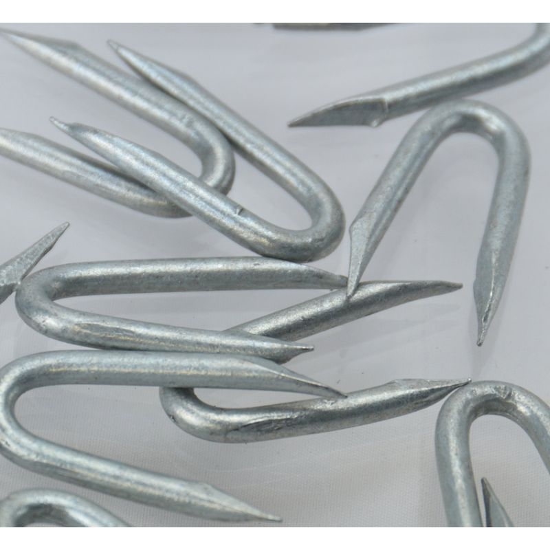 Galvanised Staples (CHOOSE YOUR NAIL SIZE) (CHOOSE YOUR PACK SIZE ...