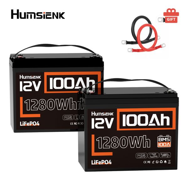 12V 100Ah LiFePO4 Lithium Battery (2 Pack ) Deep Cycle BMS For RV Trolling Motor