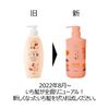 Ichikai Dense W Moisturizing Care Shampoo Pump 16.9 fl oz (480 ml) (x1)