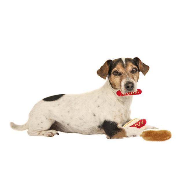 Dogs Detachable Interactive Toys