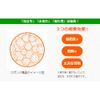 Pax Naturon Bath Sponge x 2 Sets