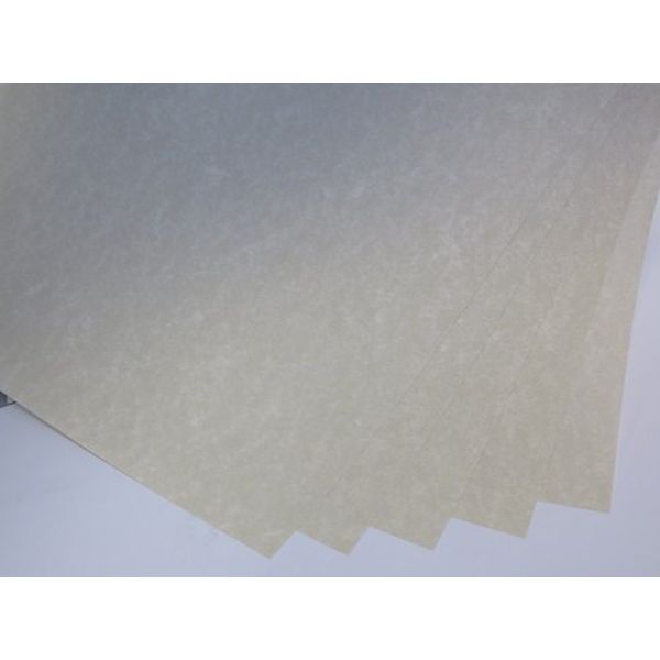 Parchment Paper 90gsm Oatmeal Cardmaking Certificates Choose A5 or A6 (A5 x 25 Sheets AM786)