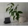 Face Soap Case 421809 