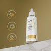 WOW TEA: Pure Beauty Bundle