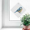 'Blue Tit Facing Right' Suction Cup Car Window Sign (CG00026214)