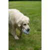 Petface (Seriously Strong by Petface) Plush Robot Dog Toy