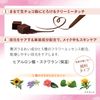 KOSE Fortune Dolly Feel Gel Liner 02 Cocoa Brown Eyeliner