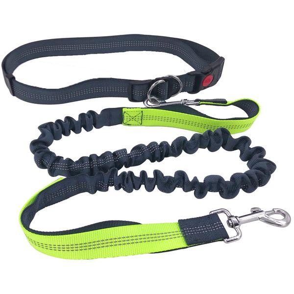 QitinDasen Grey Hands Free Dog Leash, Adjustable Waist Belt and Dual-Handle Retractable Bungee Leash, Jogging Dog Leash with Reflective Stitching (Green Handle)