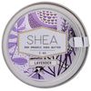 Shea Brand Lavender Shea Butter, 1 OZ