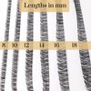 LINX DIY Cluster Eyelash Extensions Lash Ribbons (N3 C curl 16MM)