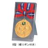 V-SHIKA AM81B-S [Speed Skating] Phoenix Pattern Silver Medal with B-Shaped Case