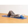 Sissel Pilates Small Props Training Aid Roller Head Align Dynamic Blue by Sissel