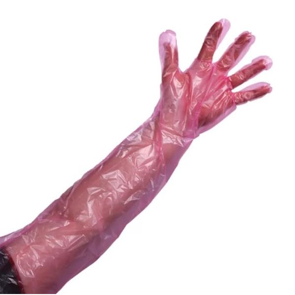 Artificial Insemination Arm Length Gloves, Size 89cm Long, Pack 100