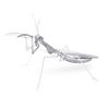 Metal Earth Praying Mantis 3D Kit
