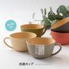 Cano Earth Color Antibacterial Cup, Gray