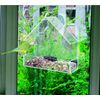 Redwood - Perspex Window Bird Feeder - Transparent
