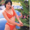 木内晶子 Venus in Paradise [DVD]