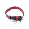 COACH CX158-IMXD0 Small Dog Collar