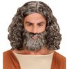 Widmann 11009356 Biblical Wig, Multi-Coloured, Normal