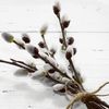 20 Napkins Willow Kitten in Spring 33 x 33 cm