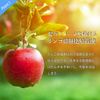 Kyogoku Ash Gray Color Shampoo, Boube Summer, Industry's First Personal Color Diagnostics, Popular Ranking, Hall of Fame Included, Beauty Salons, Gift, Damage Repair Shampoo, Salon Exclusive Product, Apple Stem Cell Culture Solution, Fade Prevention, Mura