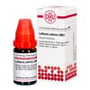 Lathyrus sativus LM XII DHU Dilution, 10 ml Lösung