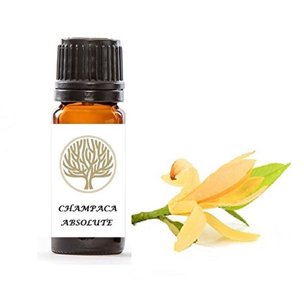Therapeutic Grade 100% Pure Champaca Absolute Oil (5ml)