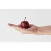 marble apple (small/red)