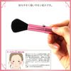 Shishida Seishindo Cheek Brush, Slide, Pink