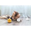 Table Tennis Balls White without Print – Pack of 12