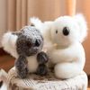 Lazada Stuffed Animal Koala Bear Plush Toy Animal Baby Toys 5 Inches