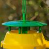 Woodside Box Tree Moth & Insect Bucket Trap – 2 Pack | Effective Insect Control | Reusable & Easy to Set Up, Refillable Moth Catcher
