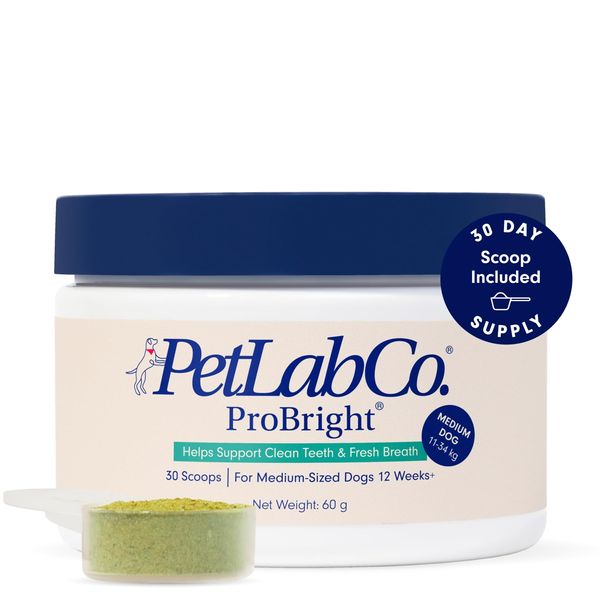 PetLab Co. ProBright® Dental Powder - Dog Breath Freshener - Teeth Cleaning Made Easy – Targets Tartar & Bad Breath - Formulated for Medium Dogs