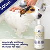 DORWEST Sooth & Calm Shampoo 500ml