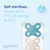 MAM Start Cute 0-2M Soother 2PK - Pink