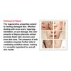 ALPACA  ADN PLACENTA - Anti-envejecim
