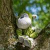 Petface Chubby Chimp Plush Dog Toy,Green