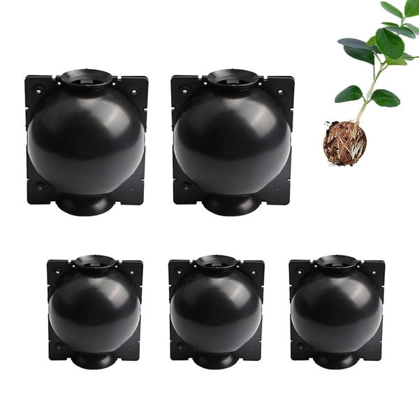 10 Pcs 5 Pairs Plant Rooting Box Plant Root Growing Box Plant Rooting Device Cuttings Plastic Growing Case Garden Plant Rooting Ball Grafting Box High Pressure Propagation Ball Reusable (S, Black)