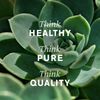 Nature's Sunshine Probiotic Eleven 90 Capsules